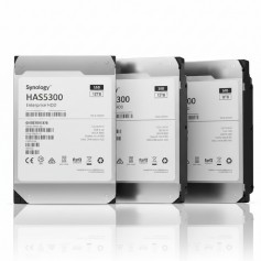 Synology HAS5300-12T internal hard drive 3.5" 12000 GB SAS