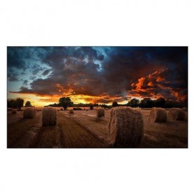 Samsung VM55B-U 55" Ultra-Narrow Bezel Video Wall Display