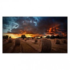 Samsung VM55B-U 55" Ultra-Narrow Bezel Video Wall Display