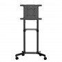 StarTech MBLTVSTNDEC Mobile TV Cart Stand