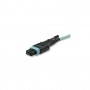 StarTech MPO12PL5M MPO to MPO Fiber Optic Cable 5m