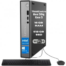 Lenovo 13B90035US Tiny Desktop Computer neo 50q Gen 5