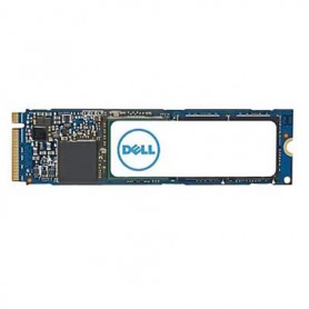 Dell SNP228G44/512G Internal Solid State Drive 512GB