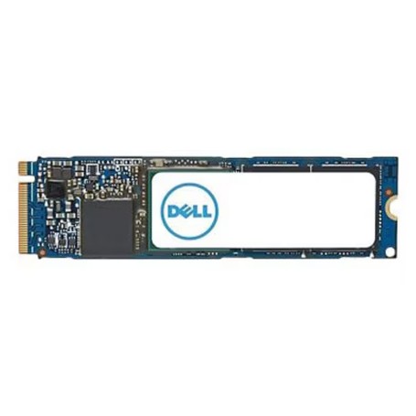 Dell SNP228G44/1TB 1TB NVMe PCIe Gen4x4 Class 40 M.2 SSD