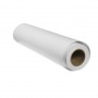 Epson S450261A 44 x 300 roll of DS Transfer Photo Paper