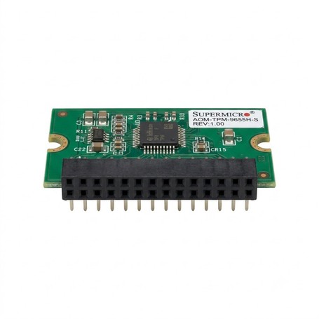 SUPERMICRO COMPUTER AOM-TPM-9655H-S Server Security Modules
