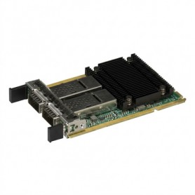 SUPERMICRO COMPUTER AOC-A100G-M2CG-O Network Interface Cards