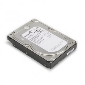 SUPERMICRO COMPUTER HDD-T4000-ST4000NM024B Hard Disk Drives