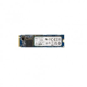 SUPERMICRO COMPUTER HDS-TMN0-KXG60ZNV256G Solid State Drives