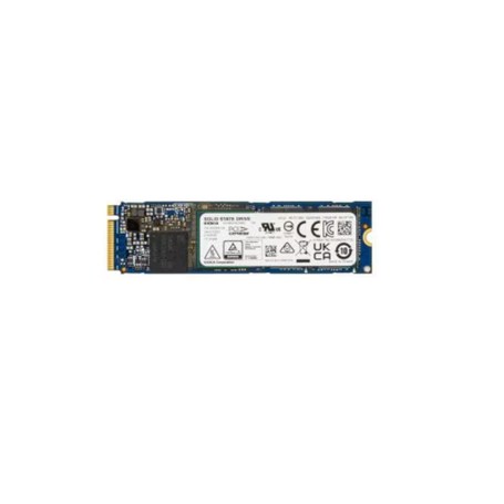SUPERMICRO COMPUTER HDS-TMN0-KXG60ZNV256G Solid State Drives