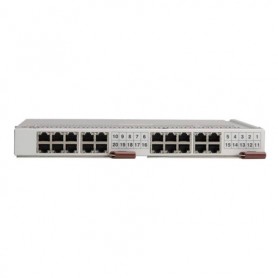 SUPERMICRO COMPUTER SBM-GEP-T20 Network Modules