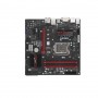SUPERMICRO COMPUTER MBD-C7B250-CB-ML-O Motherboards